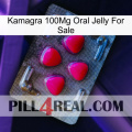 Kamagra 100Mg Oral Jelly For Sale 13